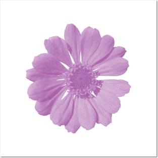 Lilac Flower Posters and Art